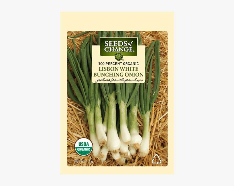 Organic Lisbon White Bunching Onion Seeds - Usda Organic, transparent png download