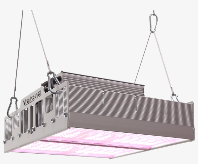 Valoya Launches A High Intensity Led Grow Light For - Grow Light, transparent png download