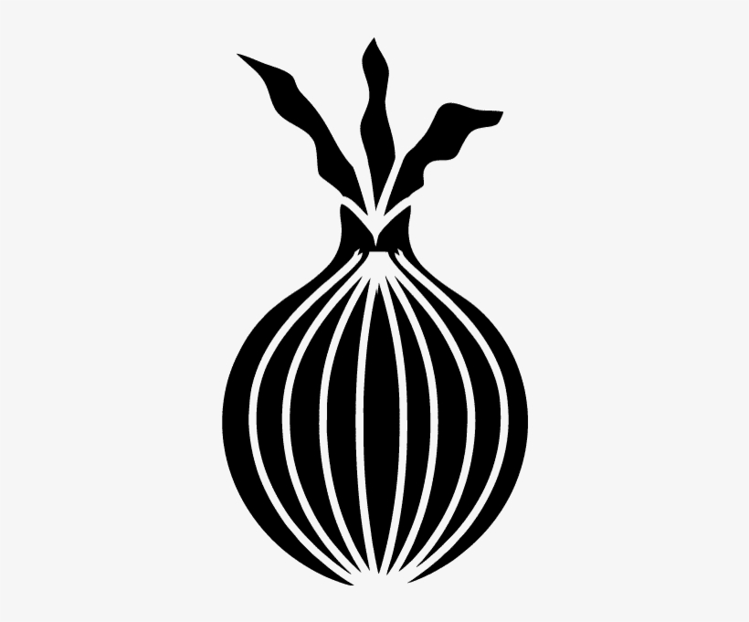 Onion - Illustration, transparent png download