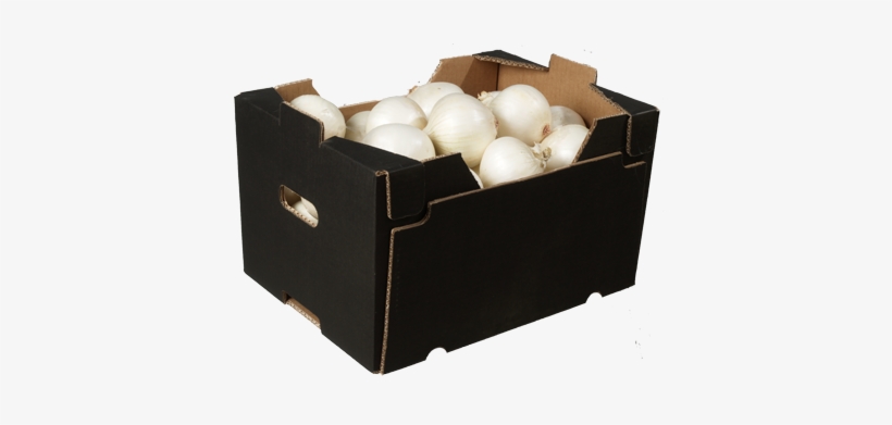 Consuay White Onion Box - Cebolla Blanca En Caja, transparent png download