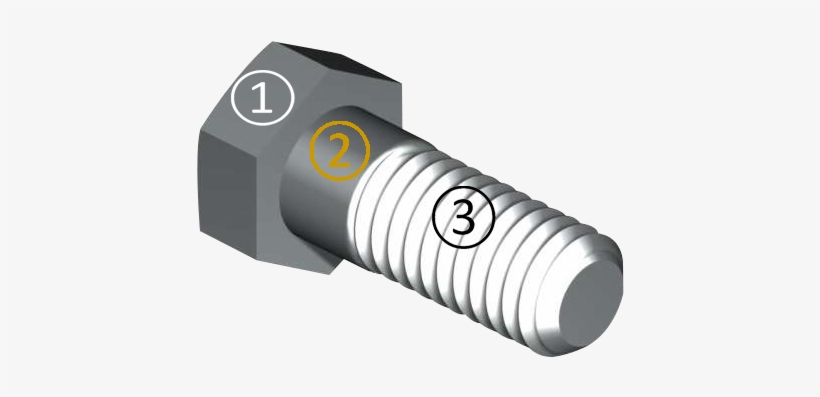Tornillos Tuercas Y Roscas - Tornillo En Movimiento, transparent png download