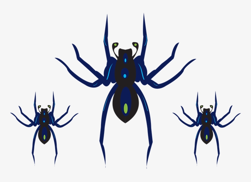 Clipart, Spider, Halloween, Scary, Horror, Black - Cafepress I Love Bugs King Duvet Cover, transparent png download