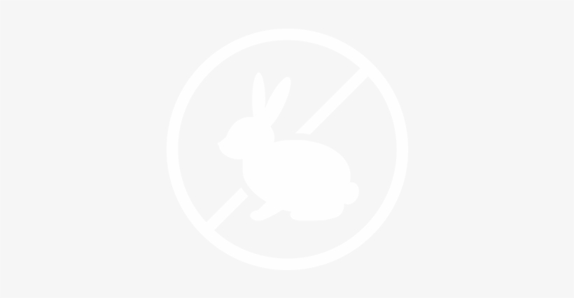 The Best Things In Life Are Cruelty Free, transparent png download