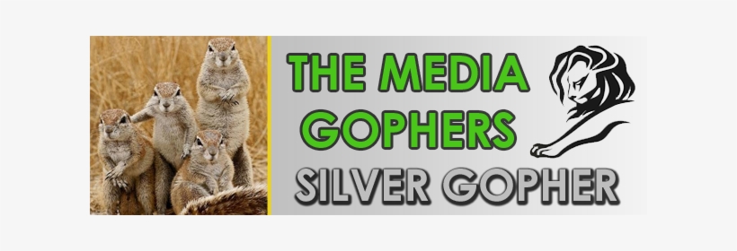 Minnesota Golden Gophers, transparent png download