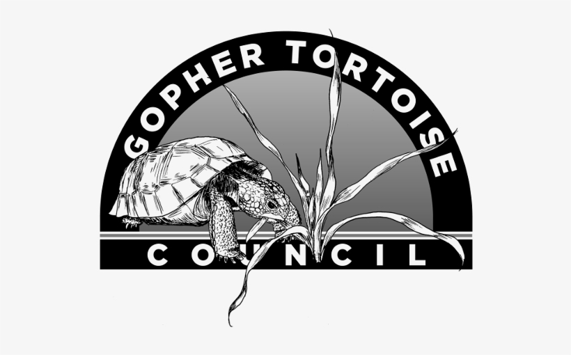 To Conduct Active Public Information And Conservation - Antiquite De Paris Wall Clock, transparent png download