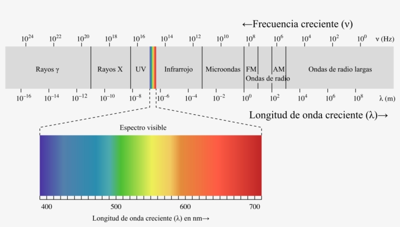 Los Efectos De Estas Radiaciones Son Acumulativos, - Electromagnetic Spectrum, transparent png download