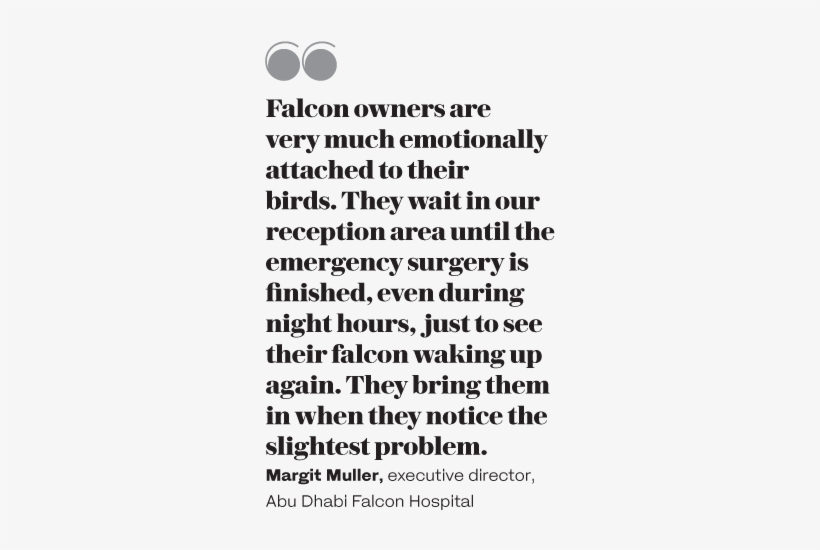 Here At Abu Dhabi Falcon Hospital We Often Experience - Hospital, transparent png download