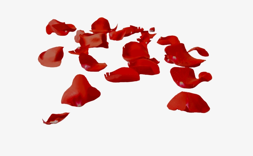 Adejam Pétalas Ao Sabor De Ventos Desconhecidos - Pluie De Pétale De Rose, transparent png download