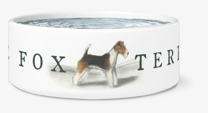 Wire Fox Terrier Bowl - Treeing Walker Coonhound, transparent png download