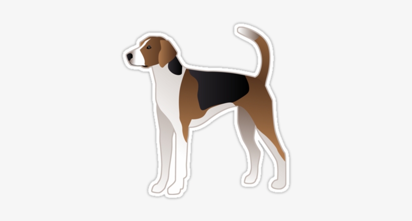 American Foxhound ❤ Find More Breed Collection Here - American Foxhound, transparent png download