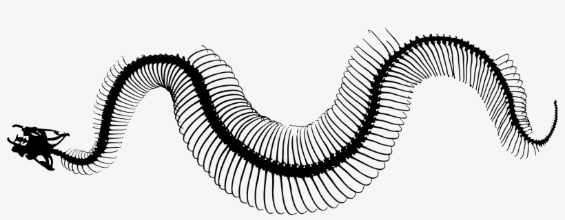 Big Image - Snakes, transparent png download
