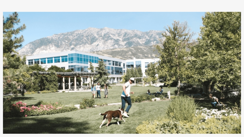 Hiking, Snowboarding And 175 Career Opportunities At - Beagle, transparent png download