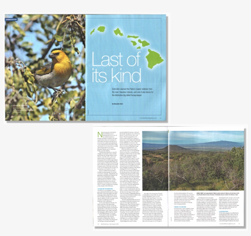 Last Of Its Kinds - Photography, transparent png download