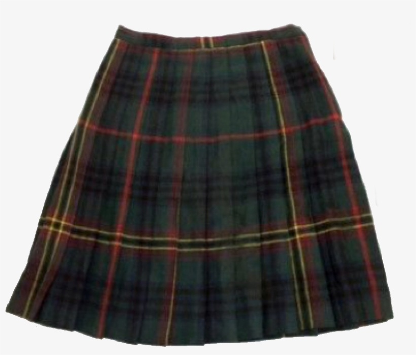 Here Is A Really Cool Pleated Skirt From The The Stitch - Portable Network Graphics, transparent png download