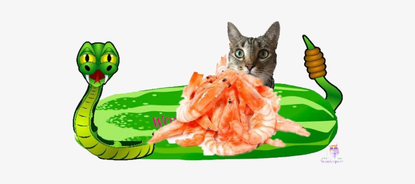 Just Finish A Business Lunch And Realize You Don't - Zazzle Klapperschlange Spiral Notizblock, transparent png download