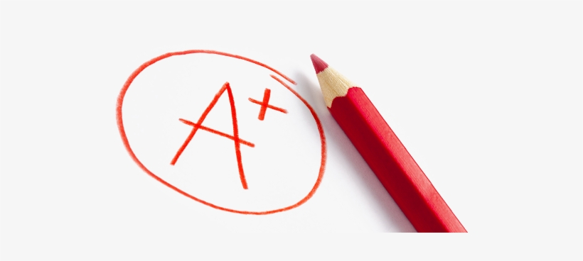 This Is What Makes Shrewsbury Learning Experts Stand - Child, transparent png download