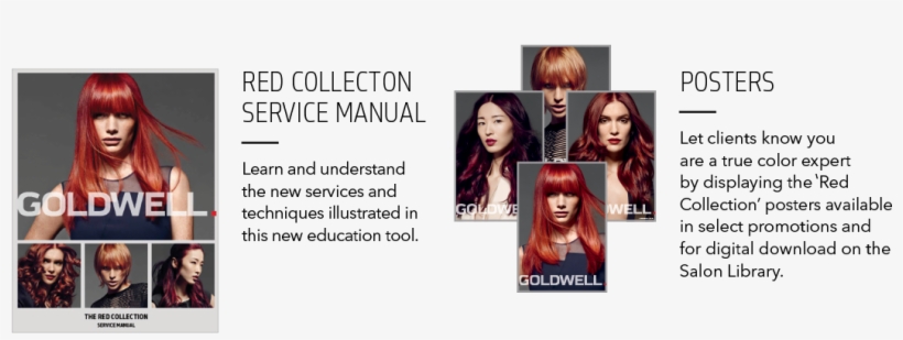 The Red Destination - Goldwell Poster Fiery Red 2015, transparent png download