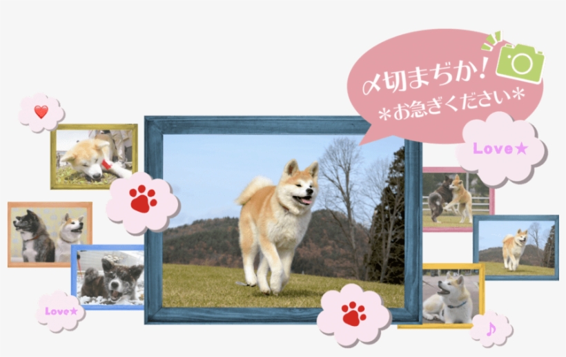 [near The Deadline ] I Wait For A Contribution Of "our - Jpeg, transparent png download