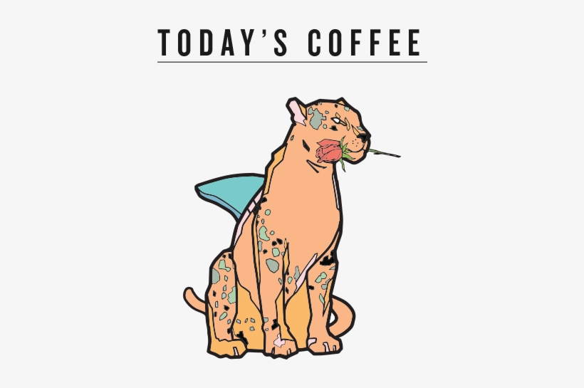 Todays Coffee V1 - Coffee, transparent png download