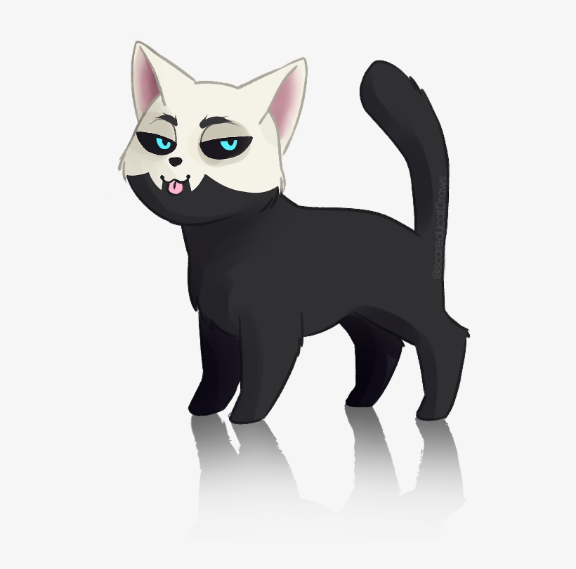 Heelys Exist In Adult Sizes - Domestic Short-haired Cat, transparent png download