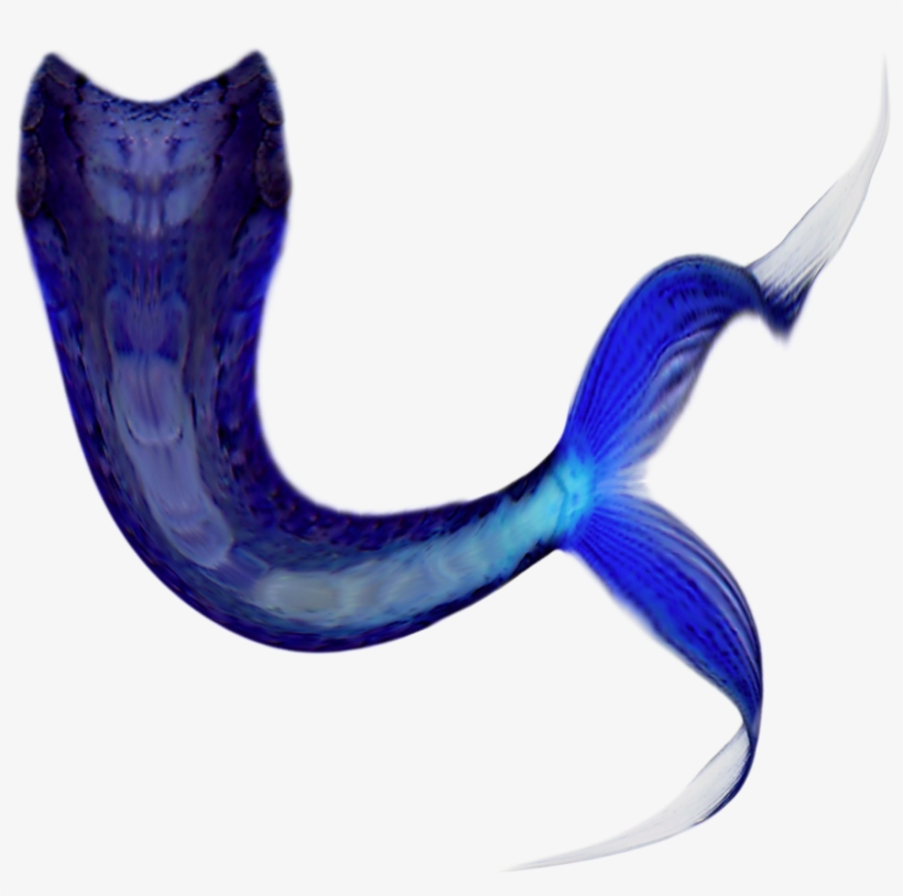 Share This Article - Mermaid Tail Brushes Photoshop, transparent png download