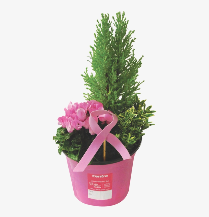 Potted Plant Abc - Flowerpot, transparent png download