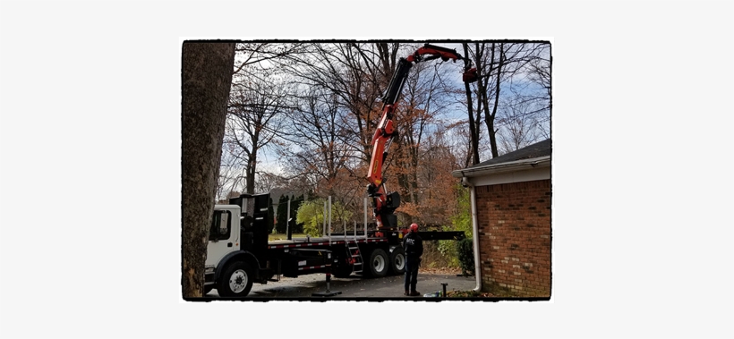 Tree Pruning Indianapolis - Indianapolis, transparent png download