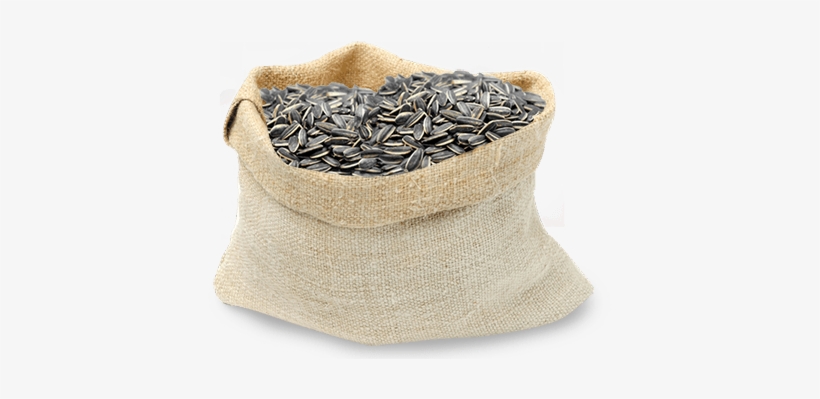 Sunflower Seeds - Flax, transparent png download