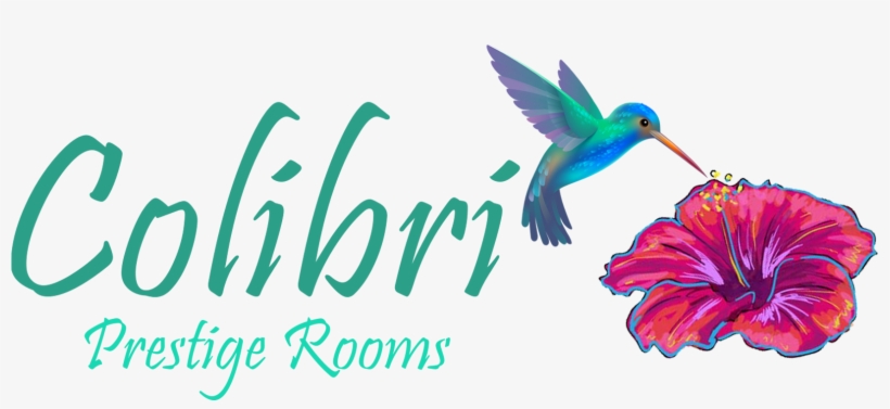 Logo Logo Logo - Congratulation On Your New Born, transparent png download