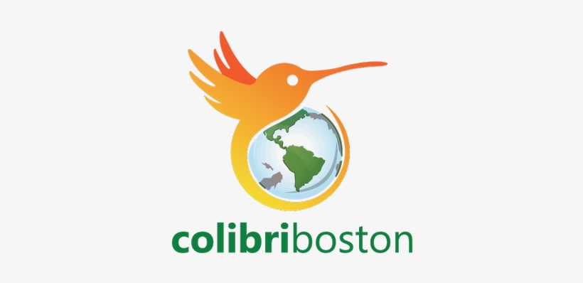 Colibri Boston - Colibri, transparent png download
