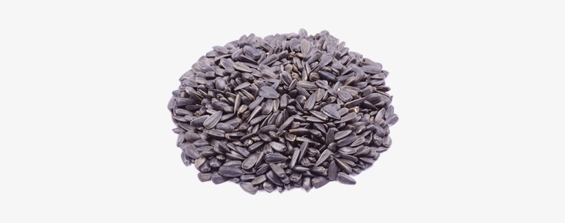 Sunflower Seeds - Stock Illustration, transparent png download
