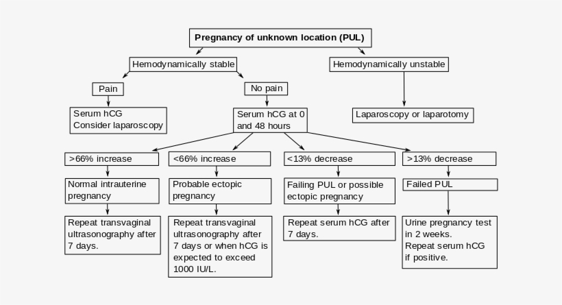Algorithm In Pregnancy Of Unknown Location - Pregnancy Of Unknown Location Hcg Levels, transparent png download