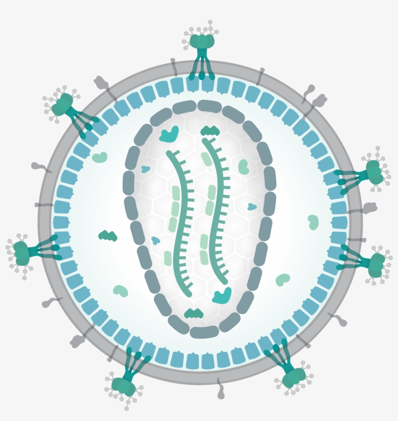 Coping With A Positive Hiv Test - Thomas Splettstoesser, transparent png download