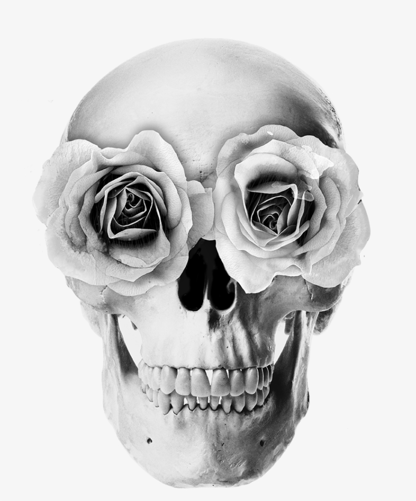 Livro - Além Da Matéria, transparent png download