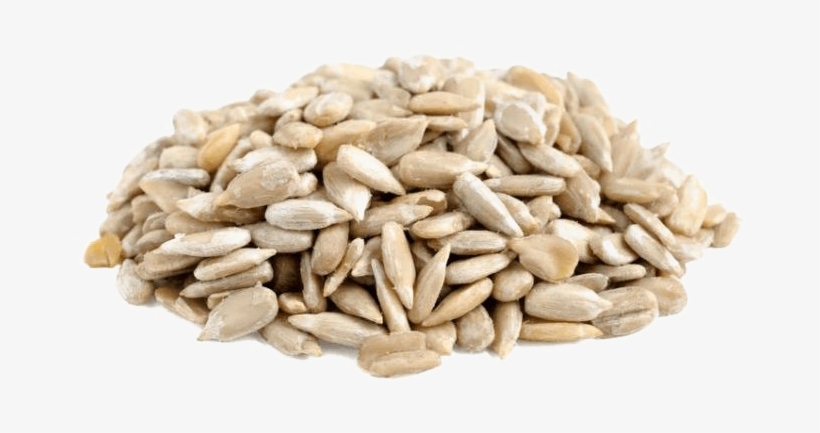Sunflower Seeds Png Download Image - Sun Flower Seed Png, transparent png download
