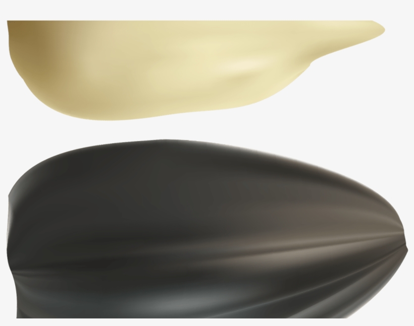 Sunflower Seeds Png Clipart Best Web Clipart - Portable Network Graphics, transparent png download