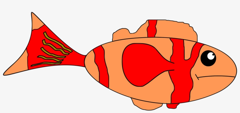 Big Image - اسماك حزينه, transparent png download