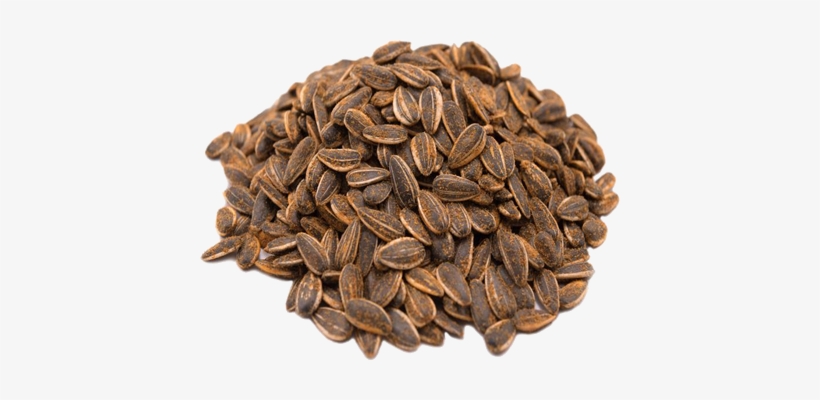 Sunflower Seed, transparent png download