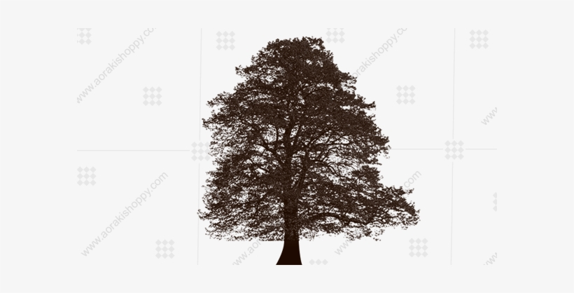Dry Tree - Tree, transparent png download
