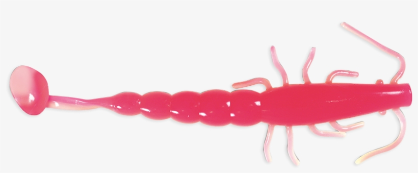 7′ Paddle Prawn 216 Pink Glow - Insect, transparent png download
