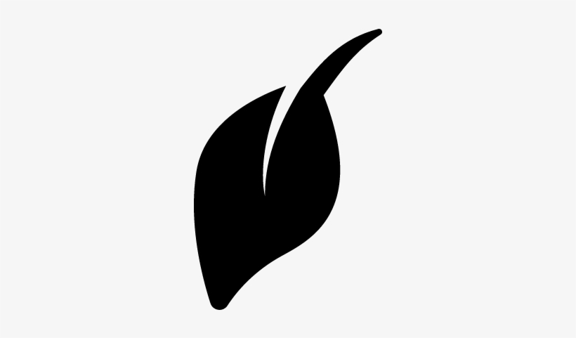 Leaf Vector - Gardening, transparent png download