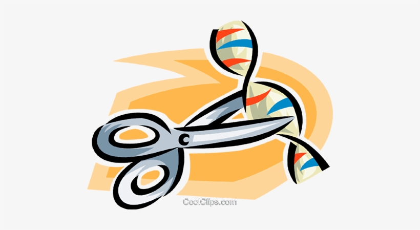 Scissors Cutting Dna - Clip Art, transparent png download