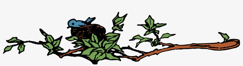 Bird Nest Branch Egg - Bird Building A Nest Clipart, transparent png download