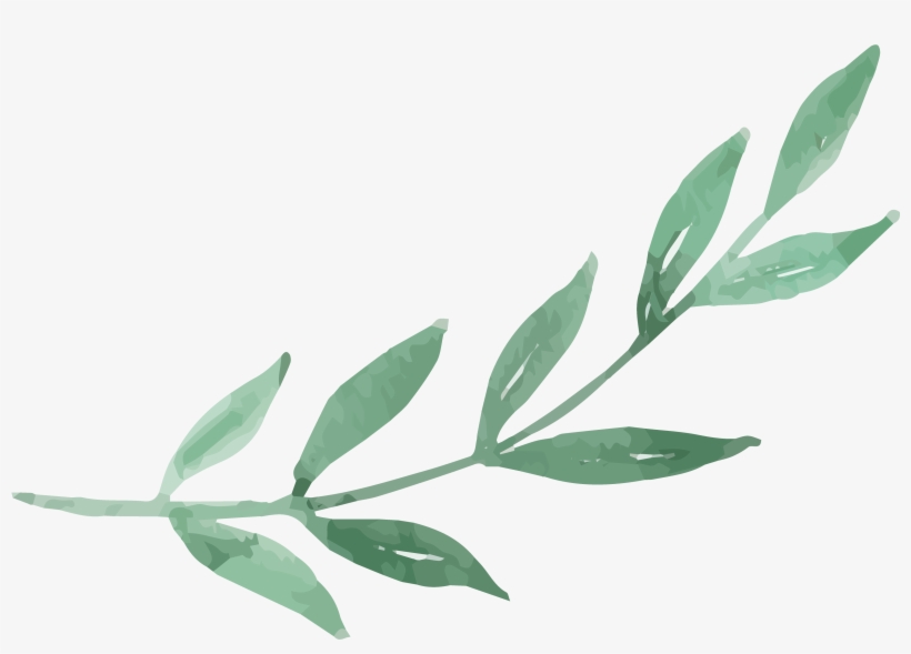 Branch-01 - Flower, transparent png download