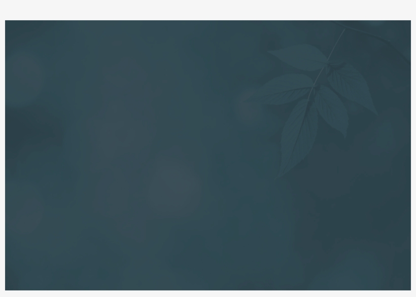 Fondo Azul Hoja 93 - You Scriptures - Trade Paperback, transparent png download