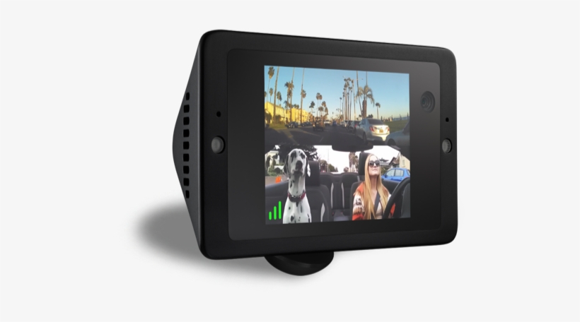 Owl Car Cam Main - Owl Cam, transparent png download
