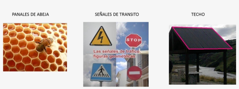 Tanto Los Presentes En La Naturaleza Como Los Creados - Mira Como Crece! Set [book], transparent png download