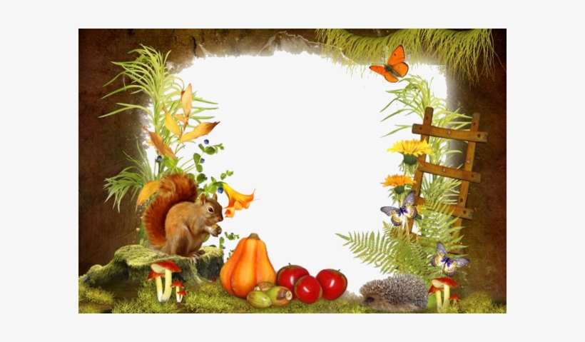 Cadres Et Bordures - Abert's Squirrel, transparent png download