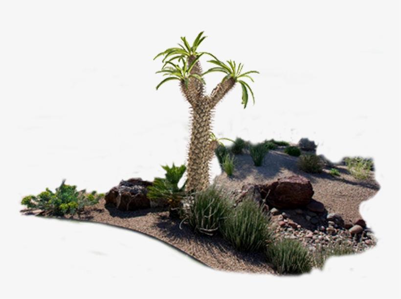 Product Item - Product, transparent png download