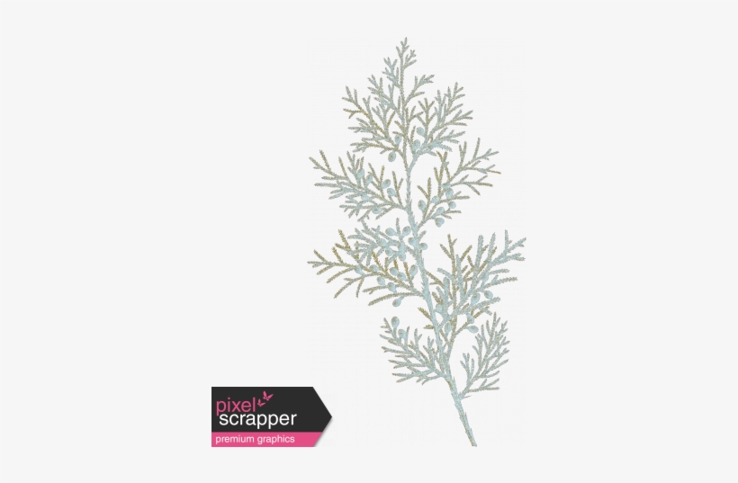 Sunshine And Snow Juniper Fir Branch - Gel Essentiel Silhouette - 100ml - Lca Aroma, transparent png download